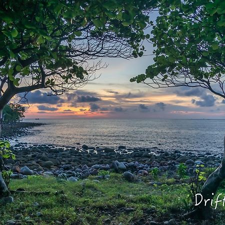 Driftwood Hostel And Bungalows ロンサレム島 エクステリア 写真